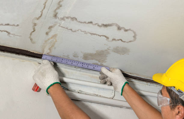 Reliable Mold Remediation contractor in Webster, WI by Water Damage Irwin